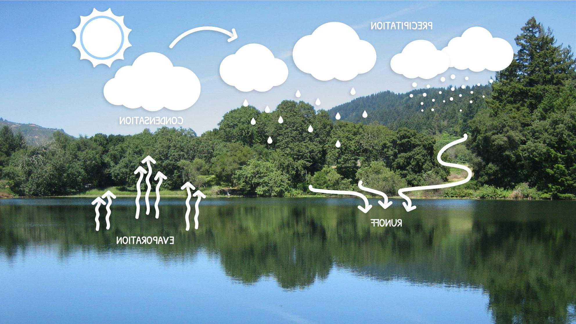 Illustration of the Water Cycle